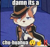 Chuuya the Stray dog