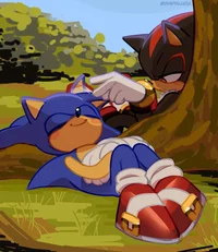 Sonadow