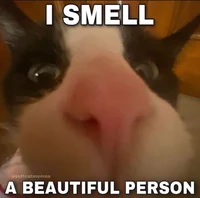 MDela Catalog x TMNT