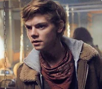 Newt