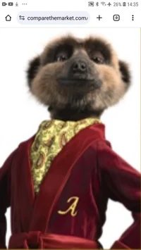 Aleksandr Orlov