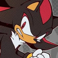 Shadow T hedgehog