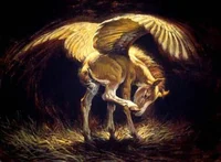 Baby Pegasus 