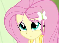 Fluttershy - EQG -