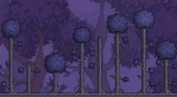 Terraria corruption