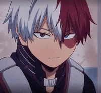 Shoto Todoroki