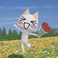 0_meow_0p