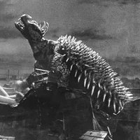 Anguirus 55