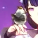 Ei s Bird