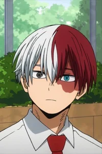 Shoto todoroki