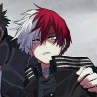 Shoto Todoroki