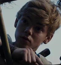 Newt