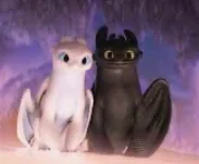 Toothless and Luna