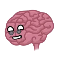 Brain