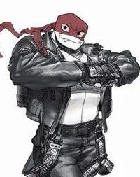 Punk Raph