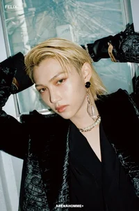 Mafia Felix Lee