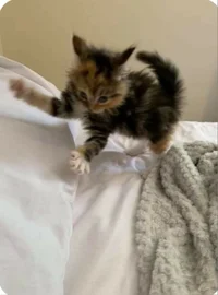 Zoe