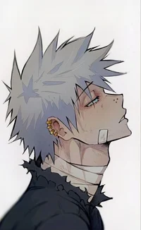 Touya Todoroki
