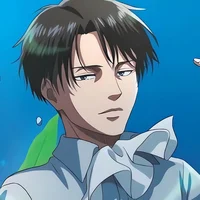 Levi Ackerman 