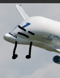 AIRBUS Beluga 
