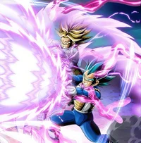 Vegeta and Trunks