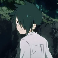 Ray -tpn