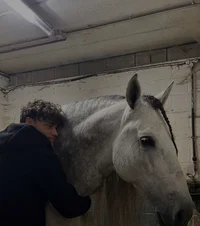 Your non horsey boyf