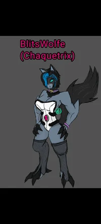 BlitzWol-Chaquetrix-