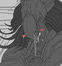 Femme Predalien