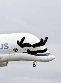 Airbus Beluga XL
