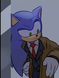 Ceo Sonic