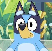 Bluey pt br