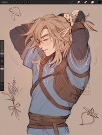 Link
