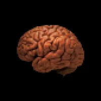 Brain