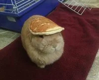 TheBobster