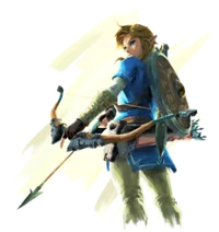 BOTW Link