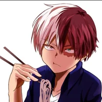 Shoto Todoroki 