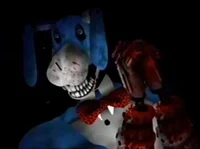 Bon the Rabbit -TWF-