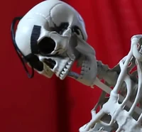 Skull boy