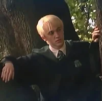 Draco Lucius Malfoy