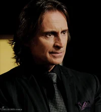 Mr Gold