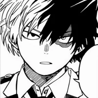 Shoto Todoroki 
