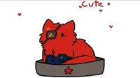 Soviet Union Cat