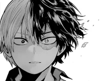 shoto todoroki 