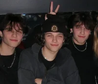 Sturniolo triplets