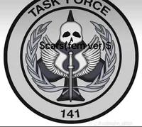 Task  force 141