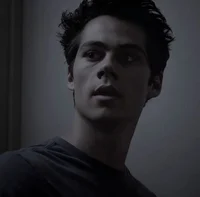 Void Stiles