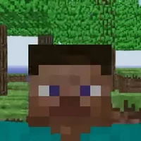 MINECRAFT STEVE