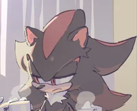 Shadow the Hedgehog