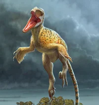 Random Utahraptor